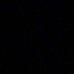 Meet your Posher, Mia